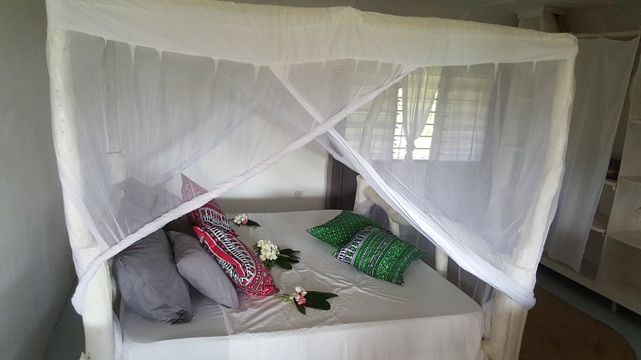 Safina House